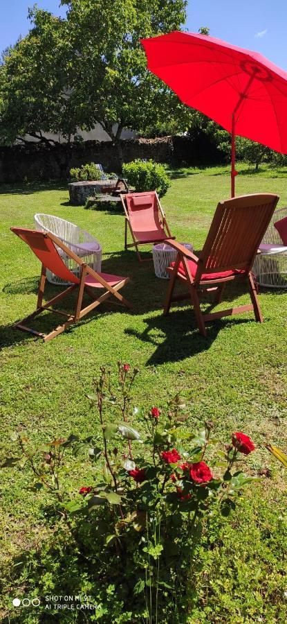 L'Aubinoise Bed & Breakfast Saint-Aubin-de-Luigné Eksteriør bilde
