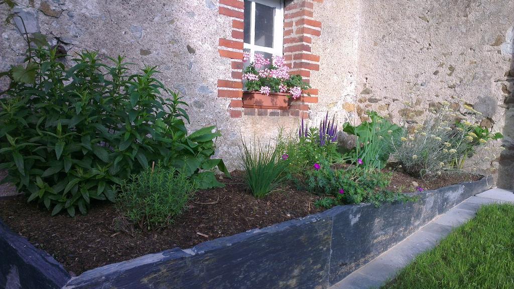L'Aubinoise Bed & Breakfast Saint-Aubin-de-Luigné Eksteriør bilde